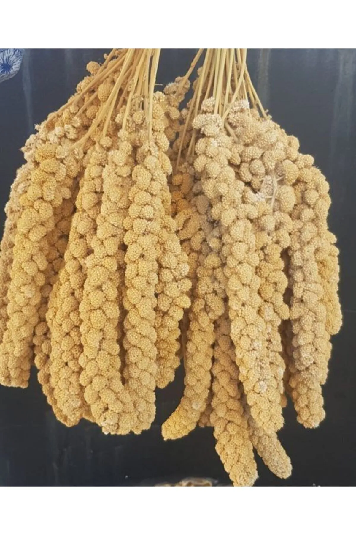 Kuşlar İçin Doğal Sarı Dal Darı 100 gr