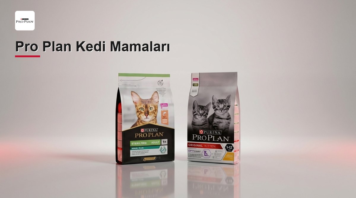 Pro Plan Kedi Mamaları