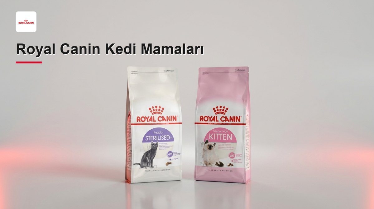 Royal Canin Kedi Mamaları