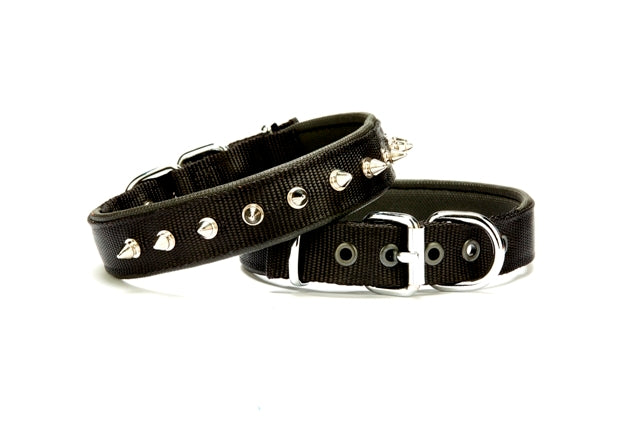 Doggie Çivi Desenli Köpek Tasması 2,5*50 cm Siyah
