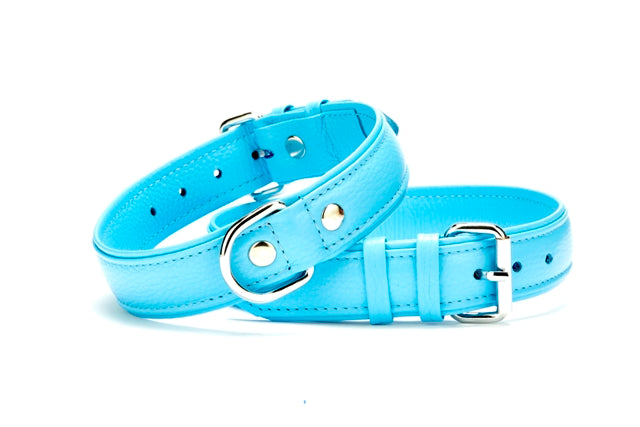 Doggie Flotter Çift Kat Deri Köpek Tasması 3,5x47-55 cm Mavi