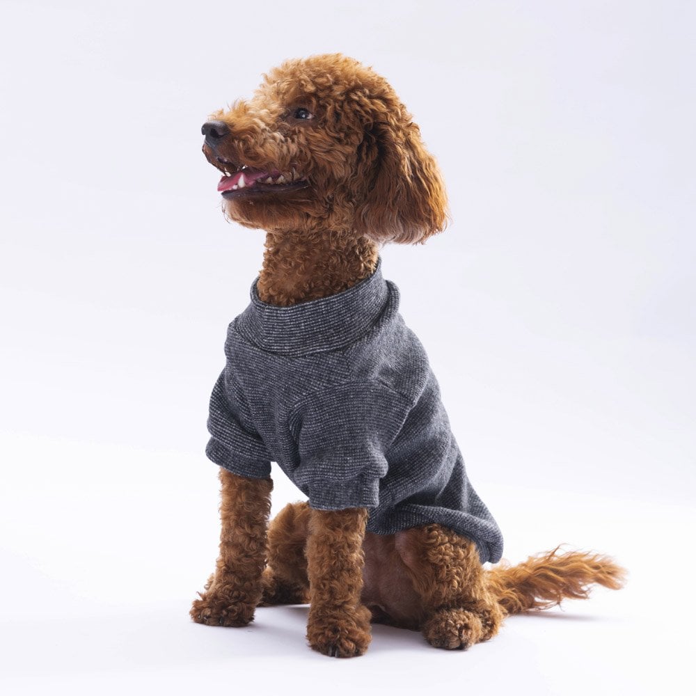 Pawstar Black Merino Sweat Medium 26x28x41 cm