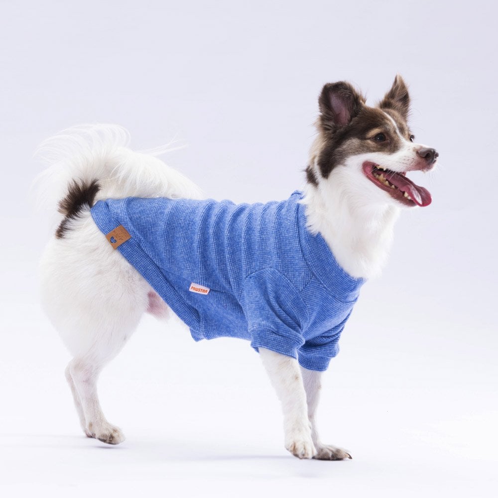 Pawstar Blue Merino Sweat X Large 34X38X55 cm