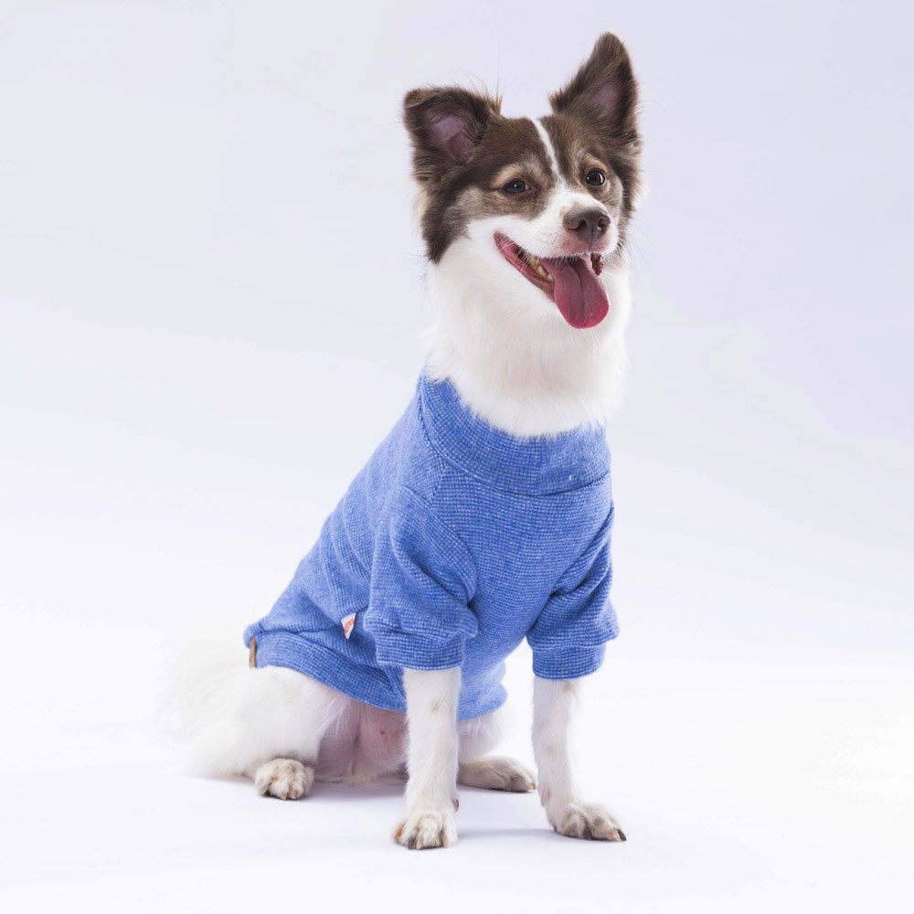Pawstar Blue Merino Sweat X Large 34X38X55 cm