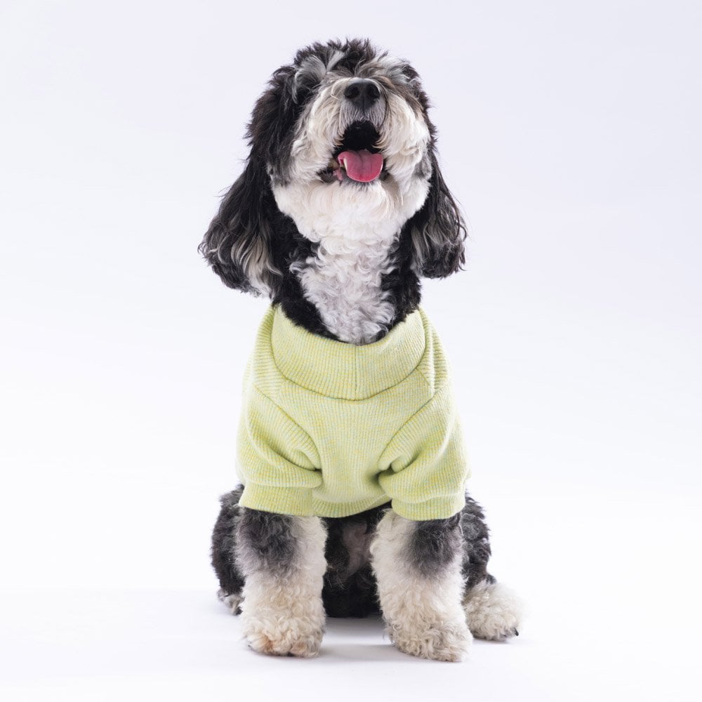 Pawstar Yellow Merino Sweat Medium 26x28x41 cm