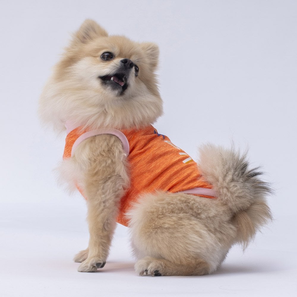 Pawstar Orange Joy Tişört Large 30x33x46 cm