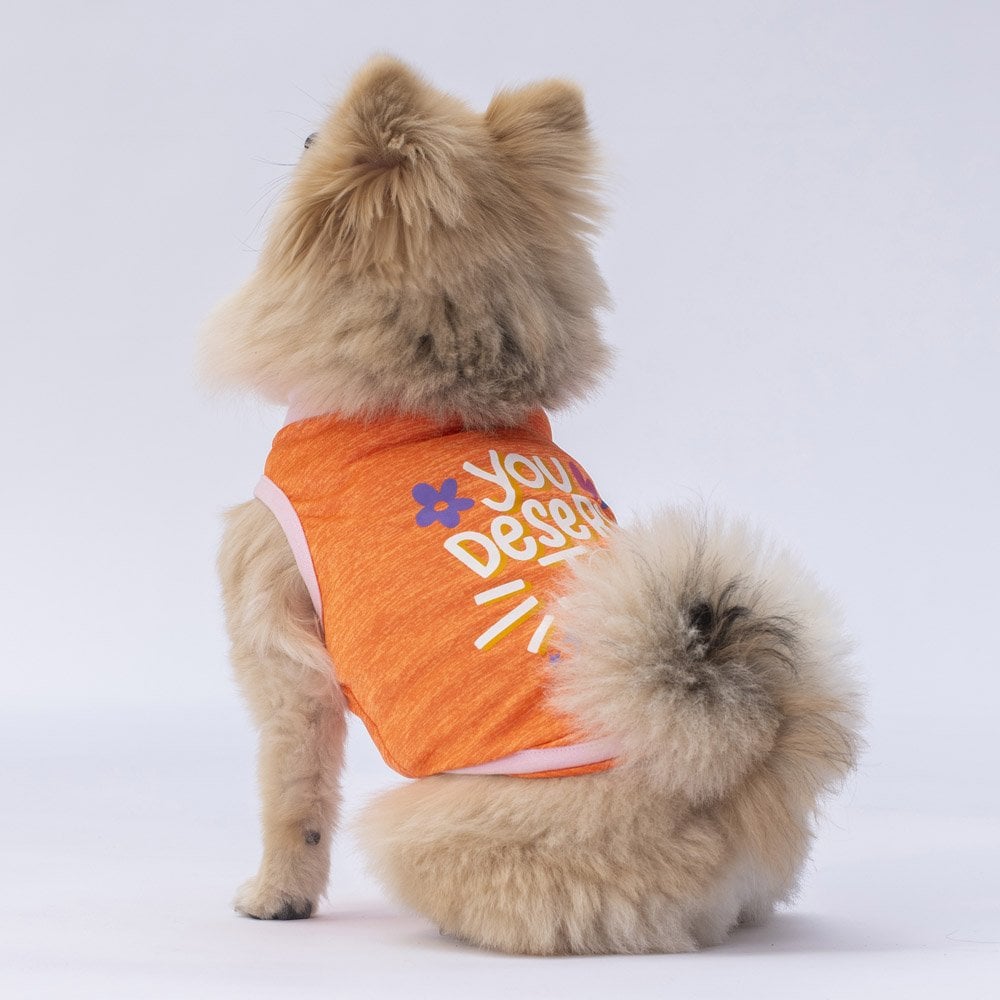 Pawstar Orange Joy Tişört Large 30x33x46 cm