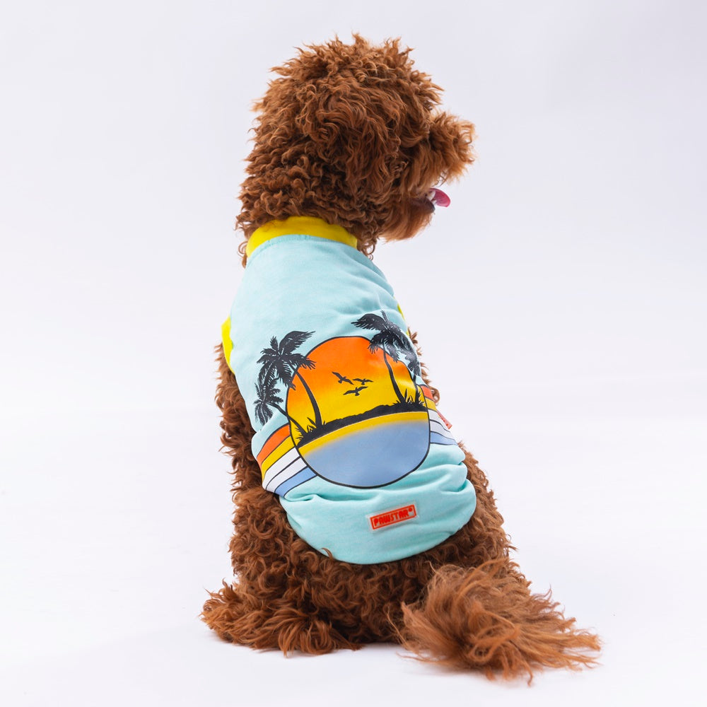 Pawstar Mint Sunrise Tişört XLarge 34*38*55 cm