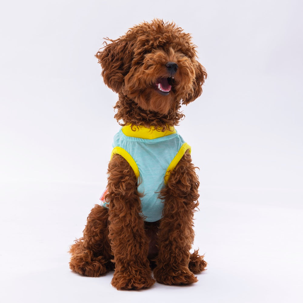 Pawstar Mint Sunrise Tişört Small 23x24x37 cm