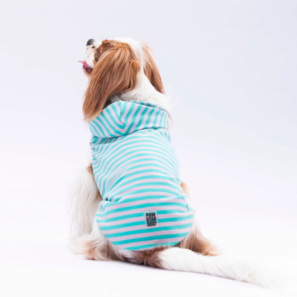 Pawstar Aqua Sunny Kapşonlu Tişört XLarge 34*38*55 cm