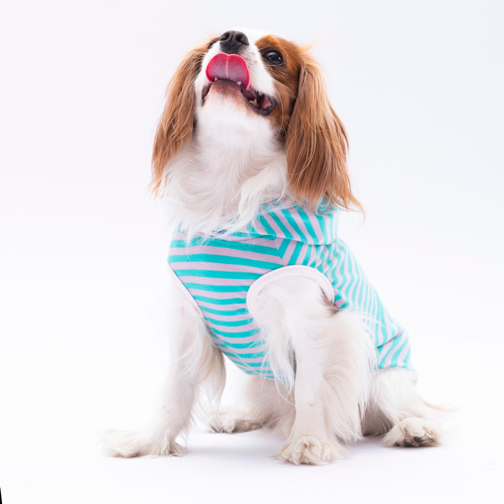 Pawstar Aqua Sunny Kapşonlu Tişört Medium 26x28x41 cm