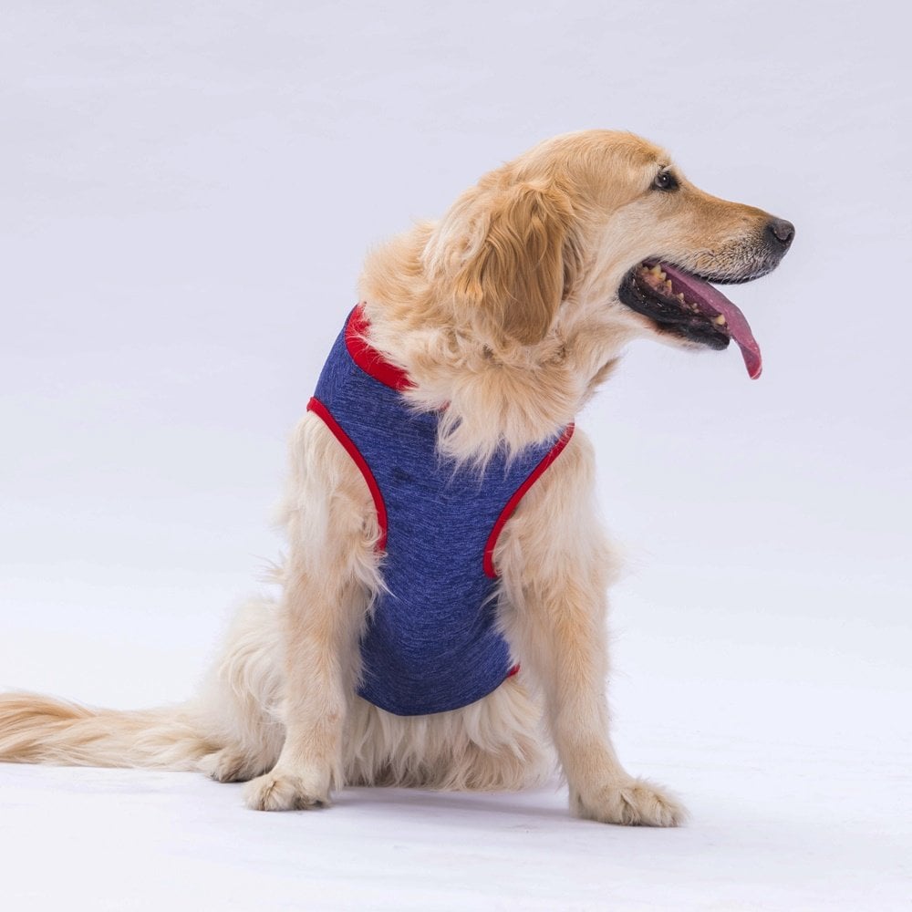 Pawstar Navy Blue Summer Time Büyük T-shirt 7XLarge  59X76X92 CM