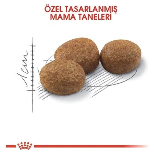 Royal Canin Sterilised Kısırlaştırılmış Kedi Maması 10 Kg