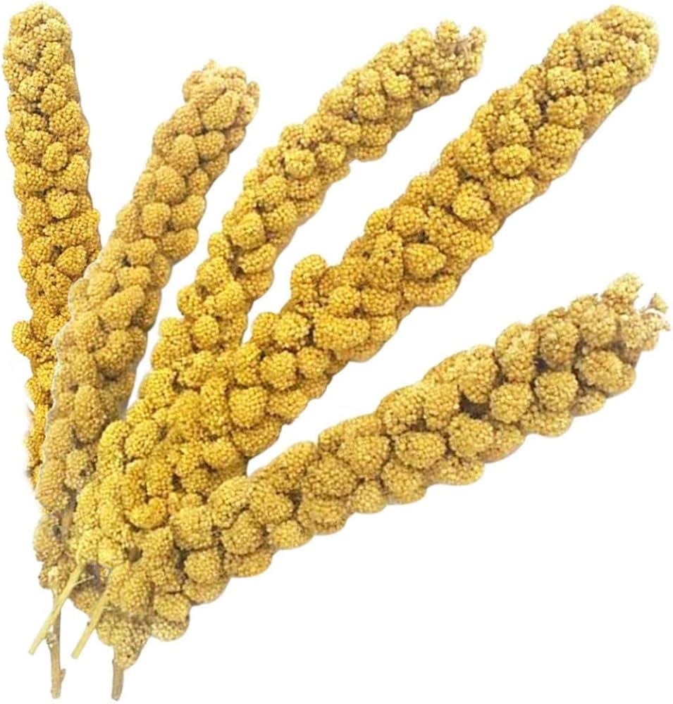 Kuşlar İçin Doğal Sarı Dal Darı 100 gr