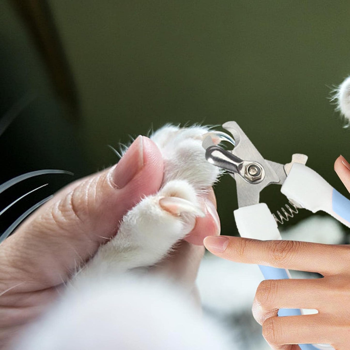 Törpülü Kedi Köpek Tırnak Makası 5,5*14,5 cm Turkuaz
