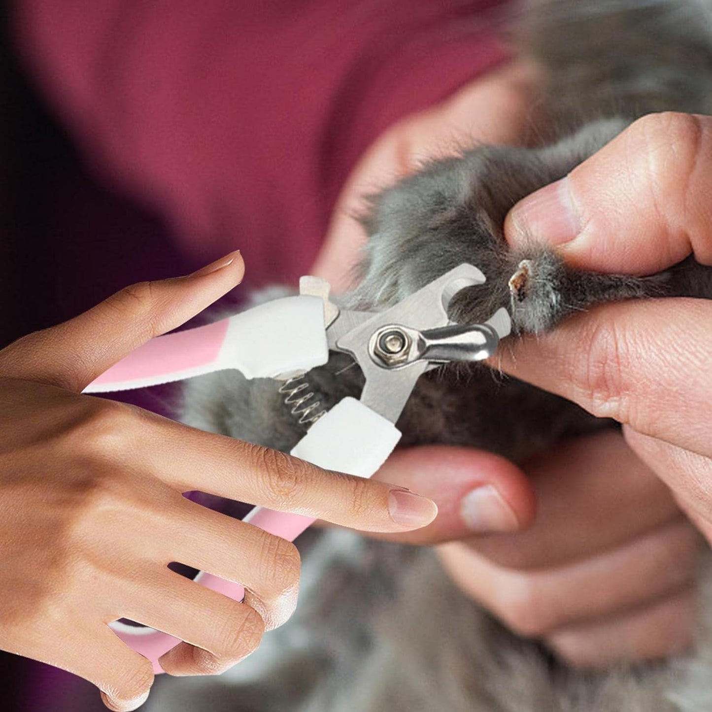 Törpülü Kedi Köpek Tırnak Makası 12,5 cm