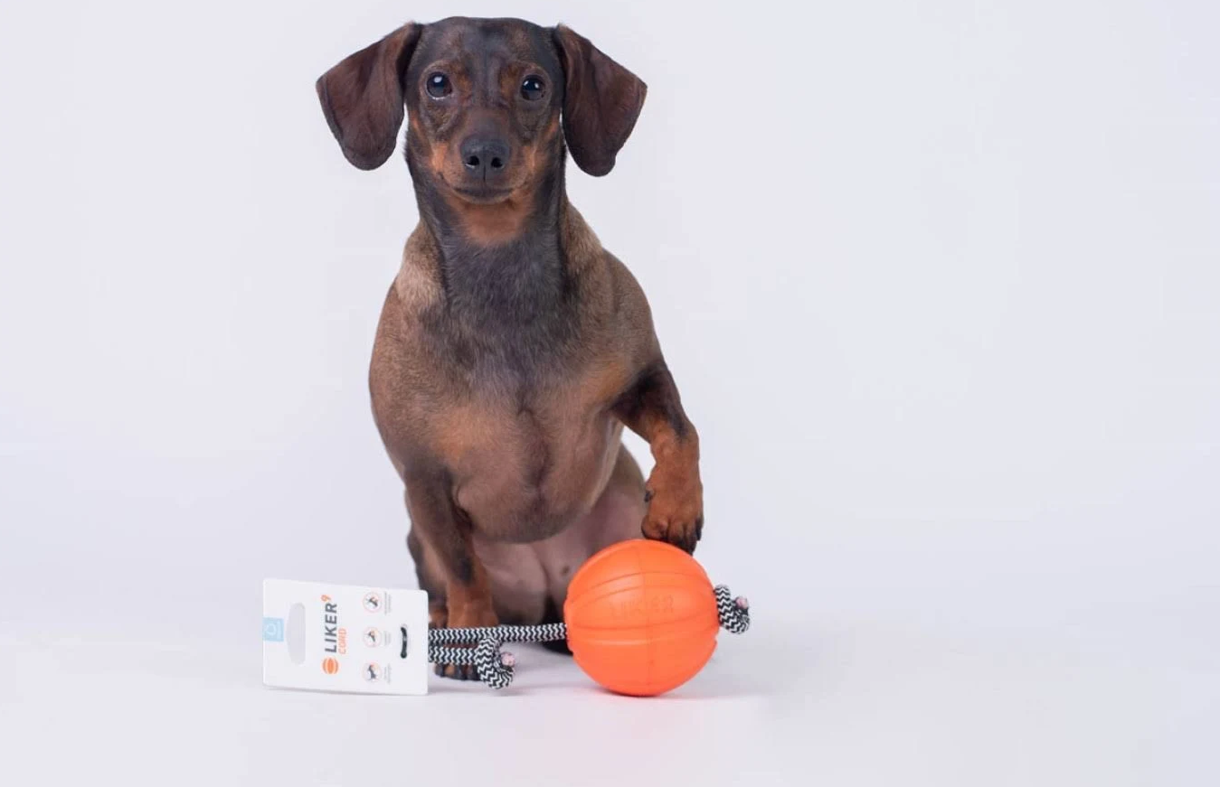 Collar Liker Cord 5 Küçük Irk ve Yavru Köpek Eğitim Oyuncağı 5 Cm