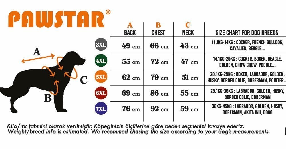 Pawstar Navy Blue Summer Time Büyük T-shirt 5XLarge  51X62X79 CM