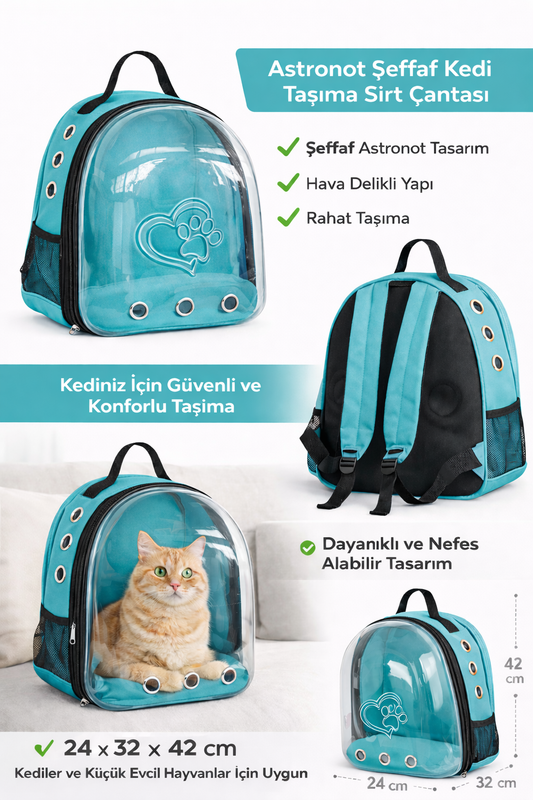 Kalpli Patili Astronot Şeffaf Taşıma Sırt Çantası Turkuaz 24x32x42 cm