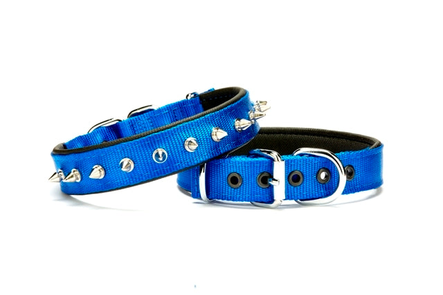 Doggie Çivi Desenli Köpek Tasması 2,5*50 cm Mavi