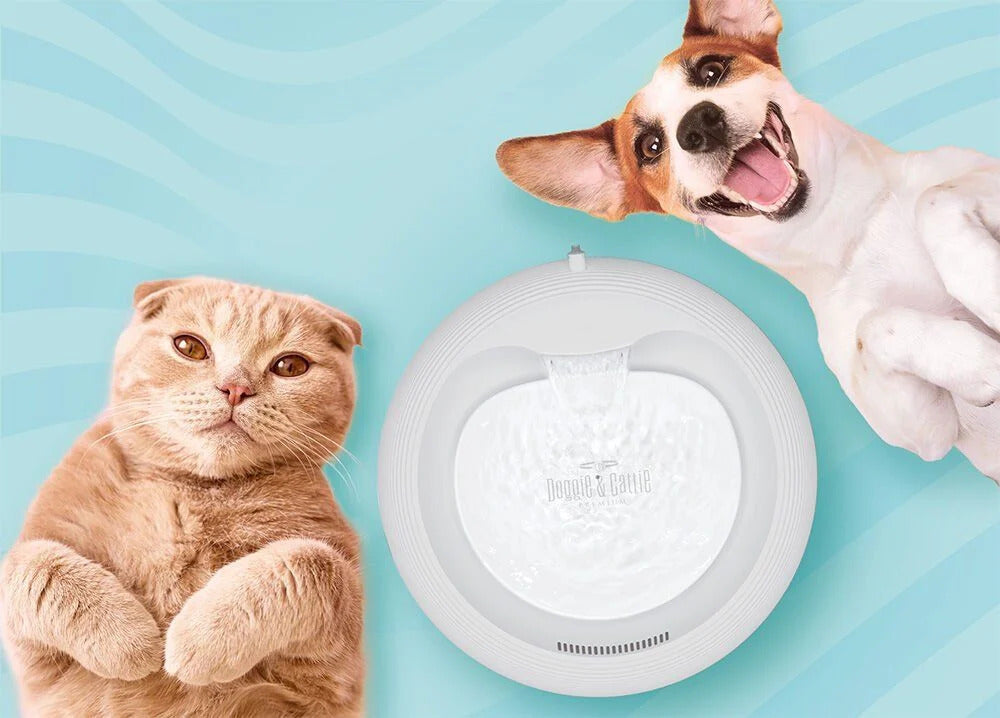 Cattie Kedi Köpek Su Pınarı Klasik Model 2,5 L Beyaz