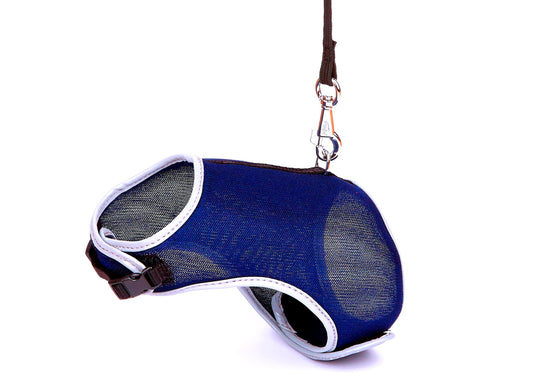 Doggie Havalı Ped Göğüs Tasma Seti Mavi 25*30 cm + 110 cm
