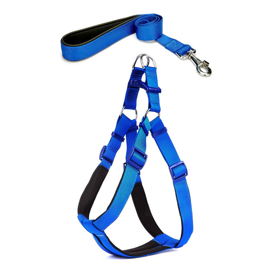 Köpek Göğüs Tasma Seti 50-70 cm Mavi + Gezdirme Kayışı