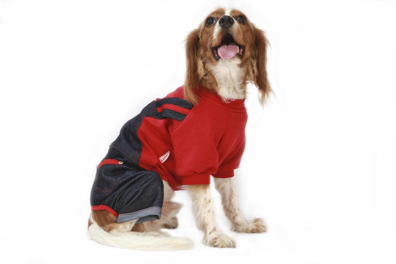Mikie Denim Romper Köpek Tulumu Kıyafeti Large