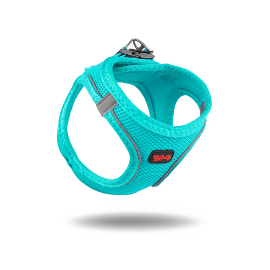 Tailpetz Air Mesh Köpek Göğüs Tasması 3XSmall 24-28 cm Ocean