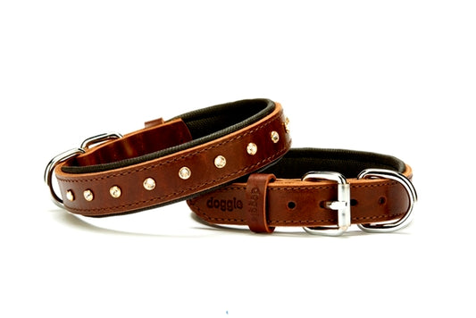 Doggie Kristal Taşlı Köpek Boyun Tasması 50 cm Medium Kahverengi
