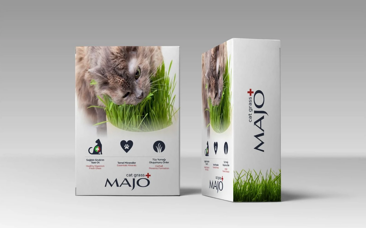 Majo Üç Kullanımlık Naturel Kedi Çimi Yedek Tohumlu