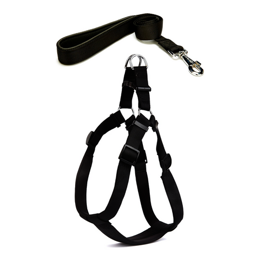 Köpek Göğüs Tasma Seti 50-70 cm Siyah + Gezdirme Kayışı