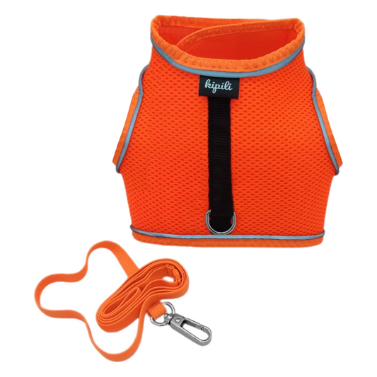 Çift Kilitli Sportif Kedi Köpek Göğüs Tasma Seti 34-44 cm Large Turuncu
