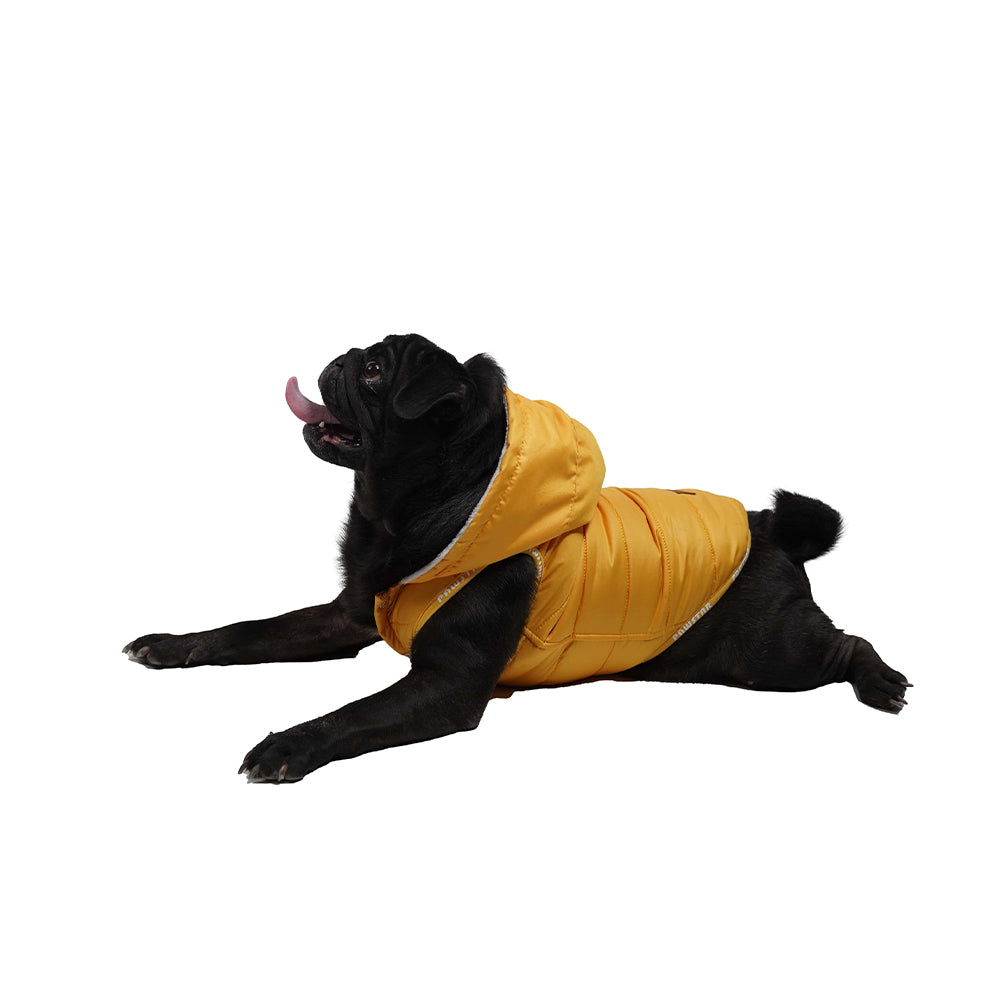 Pawstar Küçük ve  Orta Irk Sarı Sport Köpek Yeleği XXLarge 38 Cm