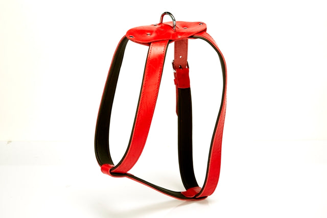 Doggie Konforlu Deriden El Yapımı Köpek Göğüs Tasması 2 x 50-70 cm Kırmızı
