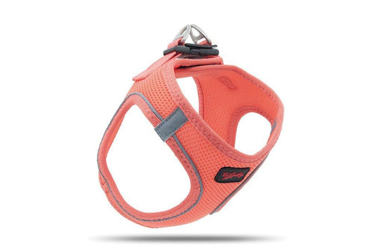 Tailpetz Air Mesh Köpek Göğüs Tasması Large 48x54 cm Somon