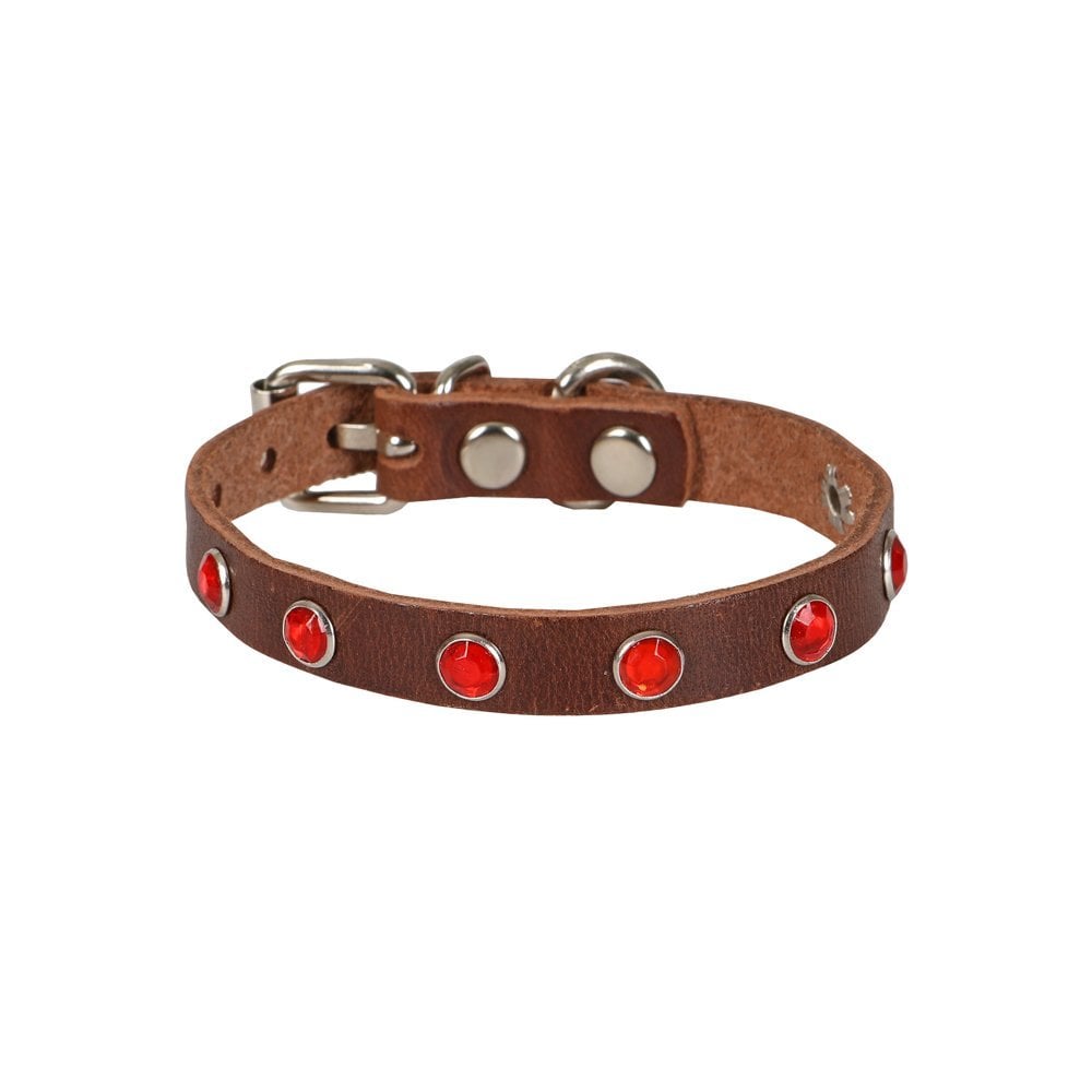 Doggie Taşlı Kedi ve Yavru Köpek Tasması 1*23 cm Kahverengi Medium
